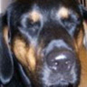 Meet your Posher, Cheuk-ning